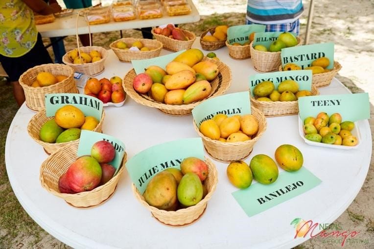 Nevis Mango Festival 2020 Launches Virtual Event