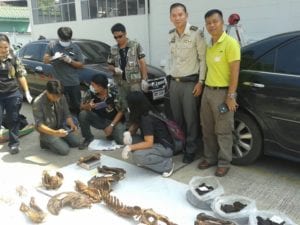 Inspect tiger carcass | eTurboNews | eTN