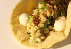 kaviar serangga Mexico | eTurboNews | eTN