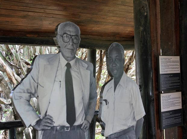 Taman Negara menandakan kejayaan pemuliharaan selama enam puluh tahun di Tanzania